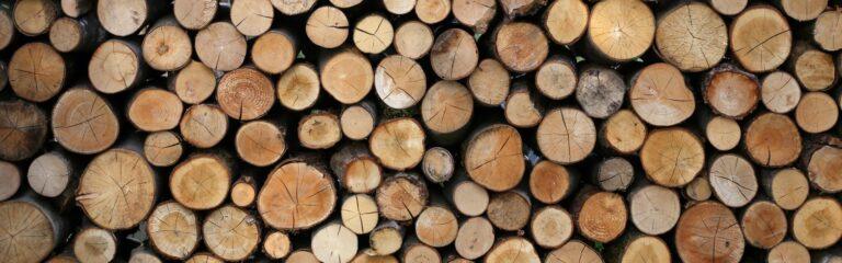 Zu sehen ist das Beitragsbild 1 für den Beitrag: Feuerschale ideales Holz zur Verbrennung